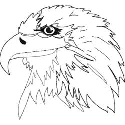 Malvorlage: Adler (Tiere) #341 - Kostenlose Malvorlagen zum Ausdrucken