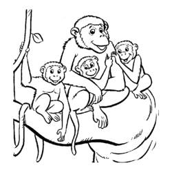 Malvorlage: Affe (Tiere) #14290 - Kostenlose Malvorlagen zum Ausdrucken