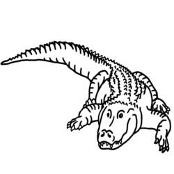 Malvorlage: Alligator (Tiere) #380 - Kostenlose Malvorlagen zum Ausdrucken