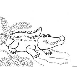 Malvorlage: Alligator (Tiere) #396 - Kostenlose Malvorlagen zum Ausdrucken
