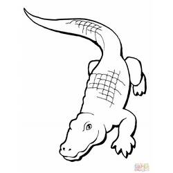 Malvorlage: Alligator (Tiere) #414 - Kostenlose Malvorlagen zum Ausdrucken