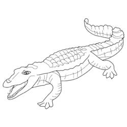 Malvorlage: Alligator (Tiere) #429 - Kostenlose Malvorlagen zum Ausdrucken