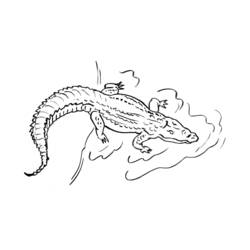 Malvorlage: Alligator (Tiere) #431 - Kostenlose Malvorlagen zum Ausdrucken