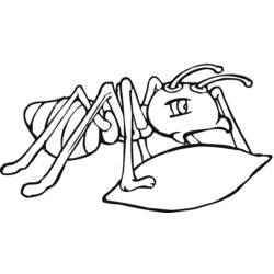 Malvorlage: Ameise (Tiere) #6920 - Kostenlose Malvorlagen zum Ausdrucken