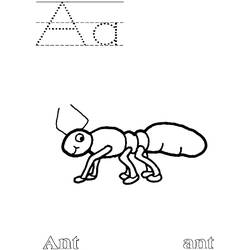 Malvorlage: Ameise (Tiere) #6946 - Kostenlose Malvorlagen zum Ausdrucken
