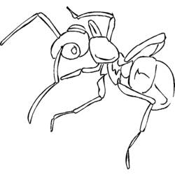 Malvorlage: Ameise (Tiere) #6961 - Kostenlose Malvorlagen zum Ausdrucken
