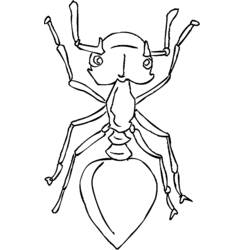 Malvorlage: Ameise (Tiere) #6965 - Kostenlose Malvorlagen zum Ausdrucken