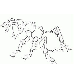 Malvorlage: Ameise (Tiere) #6980 - Kostenlose Malvorlagen zum Ausdrucken