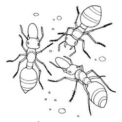 Malvorlage: Ameise (Tiere) #6993 - Kostenlose Malvorlagen zum Ausdrucken