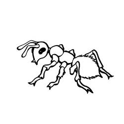 Malvorlage: Ameise (Tiere) #7001 - Kostenlose Malvorlagen zum Ausdrucken