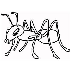 Zeichnungen zum Ausmalen: Ameise - Druckbare Malvorlagen