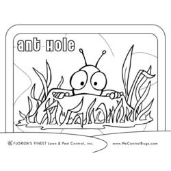 Malvorlage: Ameise (Tiere) #7027 - Kostenlose Malvorlagen zum Ausdrucken