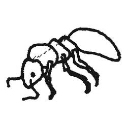 Malvorlage: Ameise (Tiere) #7038 - Kostenlose Malvorlagen zum Ausdrucken