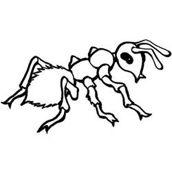 Malvorlage: Ameise (Tiere) #7085 - Kostenlose Malvorlagen zum Ausdrucken