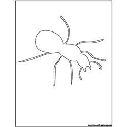 Malvorlage: Ameise (Tiere) #7094 - Kostenlose Malvorlagen zum Ausdrucken
