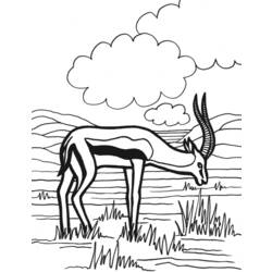Malvorlage: Antilope (Tiere) #22608 - Kostenlose Malvorlagen zum Ausdrucken