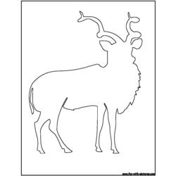 Malvorlage: Antilope (Tiere) #22640 - Kostenlose Malvorlagen zum Ausdrucken
