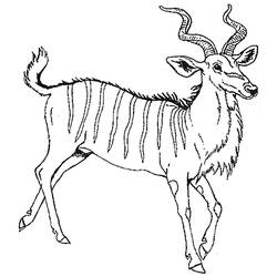 Malvorlage: Antilope (Tiere) #22645 - Kostenlose Malvorlagen zum Ausdrucken