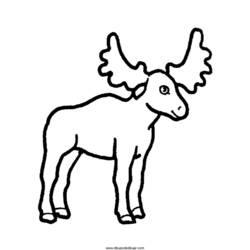 Malvorlage: Antilope (Tiere) #22653 - Kostenlose Malvorlagen zum Ausdrucken
