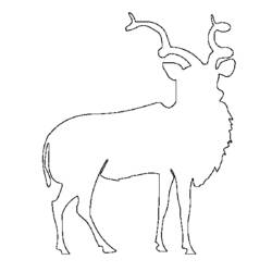 Malvorlage: Antilope (Tiere) #22658 - Kostenlose Malvorlagen zum Ausdrucken