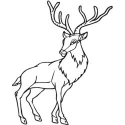 Malvorlage: Antilope (Tiere) #22659 - Kostenlose Malvorlagen zum Ausdrucken