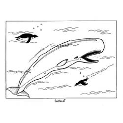 Malvorlage: Beluga (Tiere) #1046 - Kostenlose Malvorlagen zum Ausdrucken