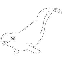 Malvorlage: Beluga (Tiere) #1049 - Kostenlose Malvorlagen zum Ausdrucken