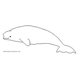 Malvorlage: Beluga (Tiere) #1063 - Kostenlose Malvorlagen zum Ausdrucken