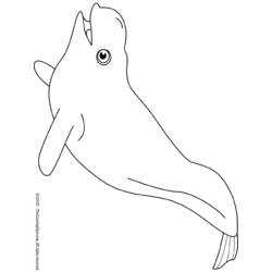 Malvorlage: Beluga (Tiere) #1064 - Kostenlose Malvorlagen zum Ausdrucken