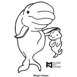 Malvorlage: Beluga (Tiere) #1065 - Kostenlose Malvorlagen zum Ausdrucken