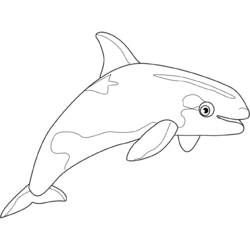 Malvorlage: Beluga (Tiere) #1073 - Kostenlose Malvorlagen zum Ausdrucken