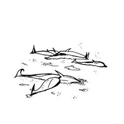 Malvorlage: Beluga (Tiere) #1079 - Kostenlose Malvorlagen zum Ausdrucken