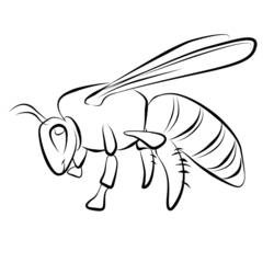 Malvorlage: Biene (Tiere) #101 - Kostenlose Malvorlagen zum Ausdrucken