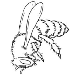 Malvorlage: Biene (Tiere) #141 - Kostenlose Malvorlagen zum Ausdrucken