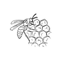 Malvorlage: Biene (Tiere) #142 - Kostenlose Malvorlagen zum Ausdrucken