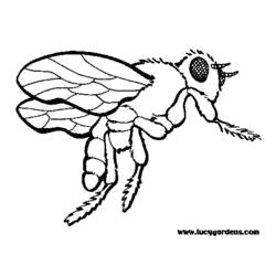 Malvorlage: Biene (Tiere) #161 - Kostenlose Malvorlagen zum Ausdrucken