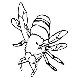 Malvorlage: Biene (Tiere) #82 - Kostenlose Malvorlagen zum Ausdrucken