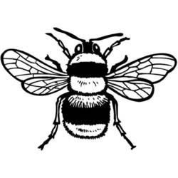 Malvorlage: Biene (Tiere) #97 - Kostenlose Malvorlagen zum Ausdrucken
