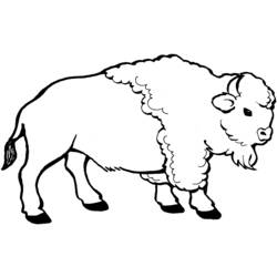 Malvorlage: Bison (Tiere) #1195 - Kostenlose Malvorlagen zum Ausdrucken