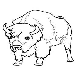Malvorlage: Bison (Tiere) #1201 - Kostenlose Malvorlagen zum Ausdrucken