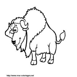 Malvorlage: Bison (Tiere) #1203 - Kostenlose Malvorlagen zum Ausdrucken