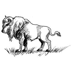 Malvorlage: Bison (Tiere) #1206 - Kostenlose Malvorlagen zum Ausdrucken