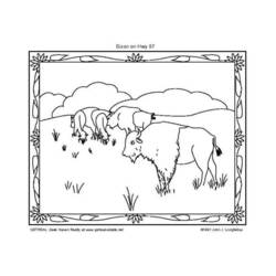 Malvorlage: Bison (Tiere) #1207 - Kostenlose Malvorlagen zum Ausdrucken