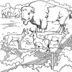 Malvorlage: Bison (Tiere) #1209 - Kostenlose Malvorlagen zum Ausdrucken