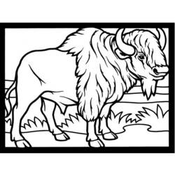 Malvorlage: Bison (Tiere) #1228 - Kostenlose Malvorlagen zum Ausdrucken