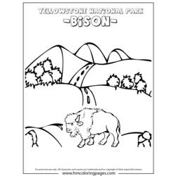 Malvorlage: Bison (Tiere) #1239 - Kostenlose Malvorlagen zum Ausdrucken