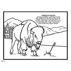 Malvorlage: Bison (Tiere) #1257 - Kostenlose Malvorlagen zum Ausdrucken