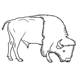 Malvorlage: Bison (Tiere) #1282 - Kostenlose Malvorlagen zum Ausdrucken
