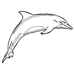 Malvorlage: Delfin (Tiere) #5099 - Kostenlose Malvorlagen zum Ausdrucken