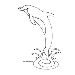 Malvorlage: Delfin (Tiere) #5101 - Kostenlose Malvorlagen zum Ausdrucken